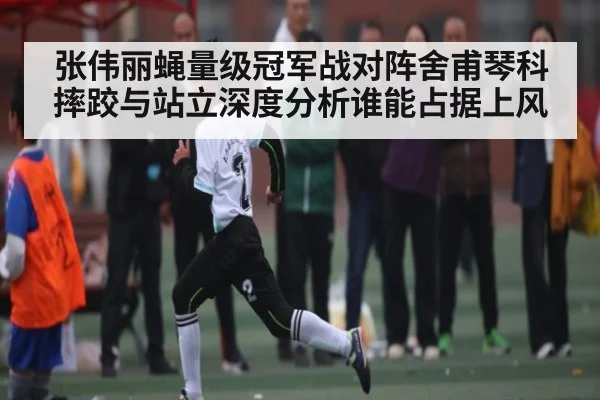 张伟丽蝇量级冠军战对阵舍甫琴科摔跤与站立深度分析谁能占据上风 | kaiyun